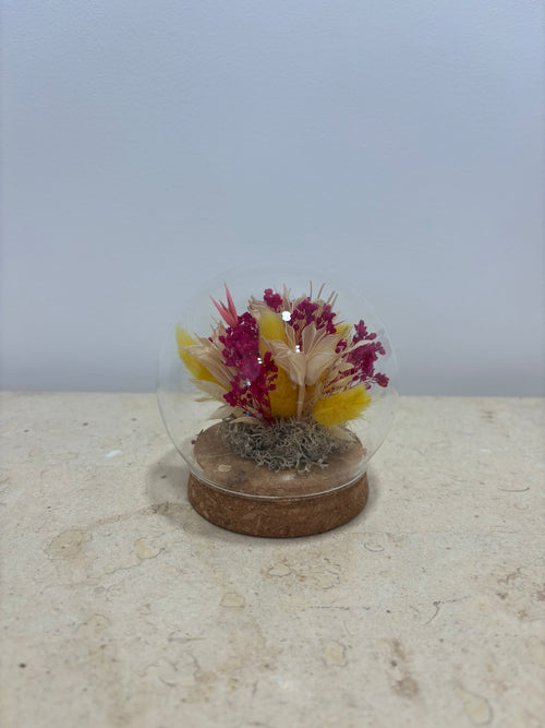 Brume fuchsia