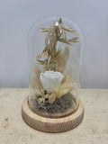 Cloche blanche élégante de la marque Rêves En Fleurs, en verre transparent avec base en bois naturel.